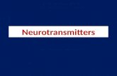 Neurotransmitters. A chemical released by one neuron that affects another neuron or an effector organ (e.g., muscle, gland, blood vessel) Excitatory neurotransmitters.