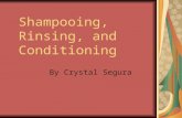 Shampooing, Rinsing, and Conditioning By Crystal Segura.