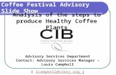 Coffee Festival Advisory Slide Show Analysis of the steps to produce Healthy Coffee Plants Advisory Services Department Contact: Advisory Services Manager.