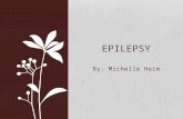 By: Michelle Heim EPILEPSY. Describe Epilepsy Summarize individual research study and implications Nursing theory TRUEPIC care plan Collaboration Nurse.