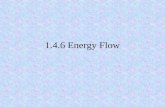 1.4.6 Energy Flow. 2 What is an ecosystem? a community of living organisms interacting with one another and their non-living environment within a particular.