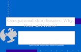 Occupational skin diseases: Why, How and When? Antti Lauerma, M.D., Ph.D. FIOH Figures: copyright Blackwell (Rook, Textbook of Dermatology)