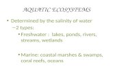 AQUATIC ECOSYSTEMS Determined by the salinity of water Determined by the salinity of water – 2 types: Freshwater : lakes, ponds, rivers, streams, wetlands.