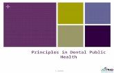 + Principles in Dental Public Health © AAPHD. + Vinodh Bhoopathi., BDS., MPH.,DScD Course Created By Course Contributors: Dr. Woosung Sohn, Dr. Susan.