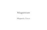 Magnetism Magnetic Force. Magnetic Force Outline Lorentz Force Charged particles in a crossed field Hall Effect Circulating charged particles Motors Bio-Savart.