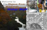 Welcome to The Mojave River Wildlands… Water Walk.