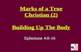 Marks of a True Christian (2) Building Up The Body Ephesians 4:8-16.