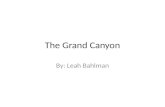 The Grand Canyon By: Leah Bahlman. Water How was the Grand Canyon formed? The Colorado River cuts through the Colorado Plateau. For 6 million years, the.