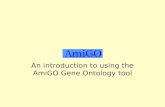 An introduction to using the AmiGO Gene Ontology tool.