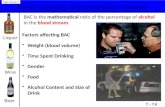 Blood Alcohol Concentration Factors T – 7.6 Topic 3 Lesson 1 Liquor Beer Weight (blood volume)Weight (blood volume) Time Spent DrinkingTime Spent Drinking.