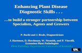 Enhancing Plant Disease Diagnostic Skills... …to build a stronger partnership between Specialists, Agents and Growers P. Bachi and J. Beale, Diagnosticians.