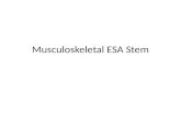 Musculoskeletal ESA Stem. Function of the skeleton – Support and muscle attachment – Protection – Movement – Haemopoietic – Mineral storage.