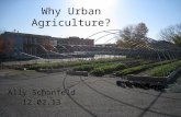 Why Urban Agriculture? Ally Schonfeld 12.02.13. My Story 2 nd year Masters Student – Agricultural and Extension Education with dual title International.
