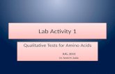 Lab Activity 1 Qualitative Tests for Amino Acids IUG, 2013 Dr. Tarek M. Zaida Qualitative Tests for Amino Acids IUG, 2013 Dr. Tarek M. Zaida.