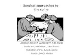 Surgical approaches to the spine ABDULMONEM ALSIDDIKY, MD,SSCO Assistant professor,consultant Pediatric ortho. &ped. spine RIYADH,SAUDI ARABIA.