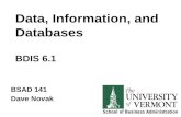 Data, Information, and Databases BDIS 6.1 BSAD 141 Dave Novak.