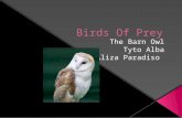 The Barn Owl eats small vertebrates….Also it eats rodents………It eats more than 1,000 rodents per year….It will snatch a young Chicken or a Guinea Pig once.