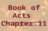 Book of Acts Chapter 11 Theme: Peter defends his ministry; Gospel goes to Antioch.
