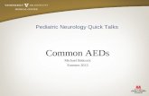 Pediatric Neurology Quick Talks Common AEDs Michael Babcock Summer 2013.