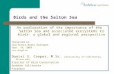 Birds and the Salton Sea An exploration of the importance of the Salton Sea and associated ecosystems to birds: a global and regional perspective Presented.