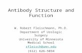 Antibody Structure and Function W. Robert Fleischmann, Ph.D. Department of Urologic Surgery University of Minnesota Medical School rfleisch@umn.edu (612)