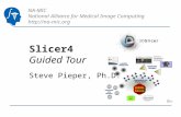 NA-MIC National Alliance for Medical Image Computing  Slicer4 Guided Tour Steve Pieper, Ph.D.