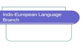 Indo-European Language Branch. Why is English related to Other Languages? English = Indo-European language family A language family- a collection of.