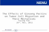 The Effects of Ginseng Pectins on Tumor Cell Migration and Their Mechanisms Yuying Fan 26 th, Nov, 2012.