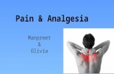 Pain & Analgesia Manpreet & Olivia. Outline 1.Pain Receptors 2.WHO Pain Ladder 3.Pain Treatment -> Types of Analgesics - NSAIDs - Opioids.
