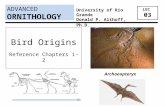 ADVANCED LEC 03 ORNITHOLOGY University of Rio Grande Donald P. Althoff, Ph.D. Archaeopteryx Bird Origins Reference Chapters 1-2.