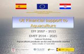 UE Financial support to Aquaculture EFF 2007 – 2013 EMFF 2014 – 2020 IPA 2009 TWINNING PROJECT HR/09/IB/AG/01 “STRENGTHENING OF CROATIAN ADMINISTRATION.