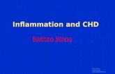 Slide Source: Lipids Online  Inflammation and CHD Inflammation and CHD Nathan Wong.