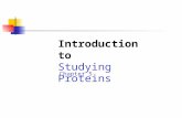 Introduction to Studying Proteins Chapter 5. Learning Outcomes Describe the structure of proteins, including the significance of amino acid R-groups and.