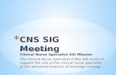 ONS Congress 2011 Clinical Nurse Specialist SIG Mission The Clinical Nurse Specialist (CNS) SIG exists to support the role of the clinical nurse specialist.