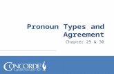 Chapter 29 & 30.  Recognize different pronoun types  Develop sentences with correct pronoun agreement.