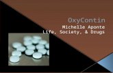 OxyContin is a drug that contains oxycodone hydrochloride.  It is prescribed to treat people who have chronic pain.  OxyContin is a Schedule II controlled.