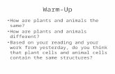 Warm-Up How are plants and animals the same? How are plants and animals different? Based on your reading and your work from yesterday, do you think that.