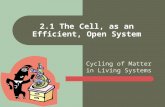Cycling of Matter in Living Systems 2.1 The Cell, as an Efficient, Open System.