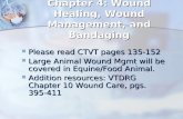 Chapter 4: Wound Healing, Wound Management, and Bandaging Please read CTVT pages 135-152 Please read CTVT pages 135-152 Large Animal Wound Mgmt will be.