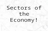 Sectors of the Economy!. Review! Primary Sector: most basic components of economy – Activities revolve around getting raw materials from earth Secondary.