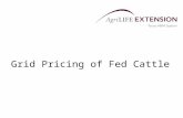 Grid Pricing of Fed Cattle.  Grid prices, or value-based marketing, refers to pricing cattle on an individual animal basis. Prices differ according to.