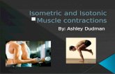 There are two types of muscle contractions: isotonic and isometric The prefix of both words is “iso” and it means “the same” Different exercises exert.