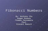 Fibonacci Numbers By: Anthony Chu Kegan Dsouza Thomas Ferranola Paul Vincent Roesch.