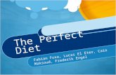 The Perfect Diet Fabian Fuxa, Lucas El Eter, Caio Maksoud, Frederik Engel.