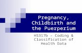 Pregnancy, Childbirth and the Puerperium HS317b – Coding & Classification of Health Data.