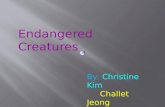 Endangered Creatures By: Christine Kim Challet Jeong Julianne Lee