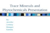 Trace Minerals and Phytochemicals Presentation By: Jennifer Lindsey Meagan Kahelia.