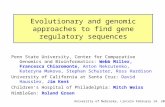 Evolutionary and genomic approaches to find gene regulatory sequences Penn State University, Center for Comparative Genomics and Bioinformatics: Webb Miller,