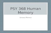 PSY 368 Human Memory Sensory Memory Structural Model Memory composed of storage structures that hold memories for a period of time Sensory memory Short-term.