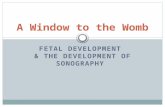 FETAL DEVELOPMENT & THE DEVELOPMENT OF SONOGRAPHY A Window to the Womb.